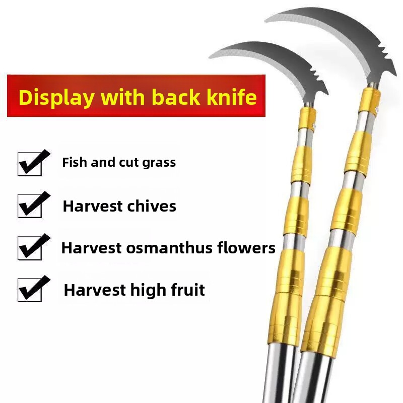 Ausziehbare Stange aus Edelsta – Fishing Equipment Carp Bewertung und Preis