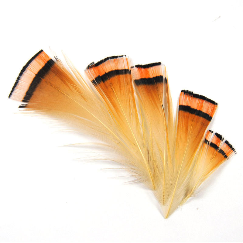 50PCS Natürliche Farbe Goldene – Fishing Equipment Brands Bewertung und Preis