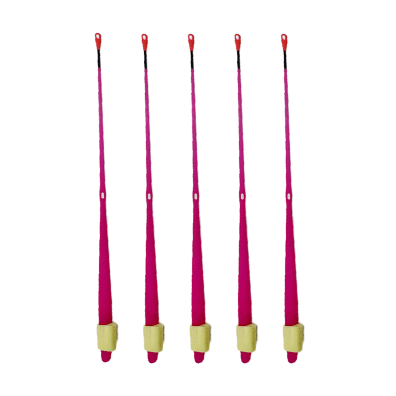 5er-Set Angelruten-Spitzen aus – Ice Fishing Tip Up Bewertung und Preis